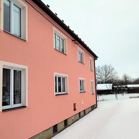 Апартаменти Apartman Pod Rickami Рокітніце-в-Орліцких-горах Екстер'єр фото