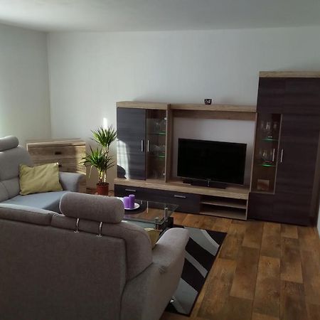 Апартаменти Apartman Pod Rickami Рокітніце-в-Орліцких-горах Екстер'єр фото
