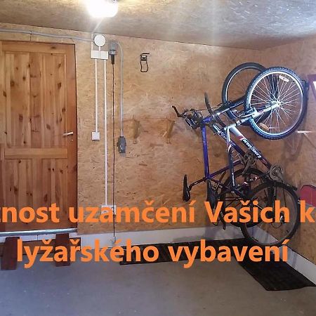 Апартаменти Apartman Pod Rickami Рокітніце-в-Орліцких-горах Екстер'єр фото