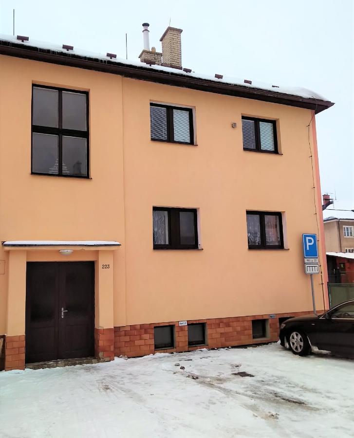 Апартаменти Apartman Pod Rickami Рокітніце-в-Орліцких-горах Екстер'єр фото