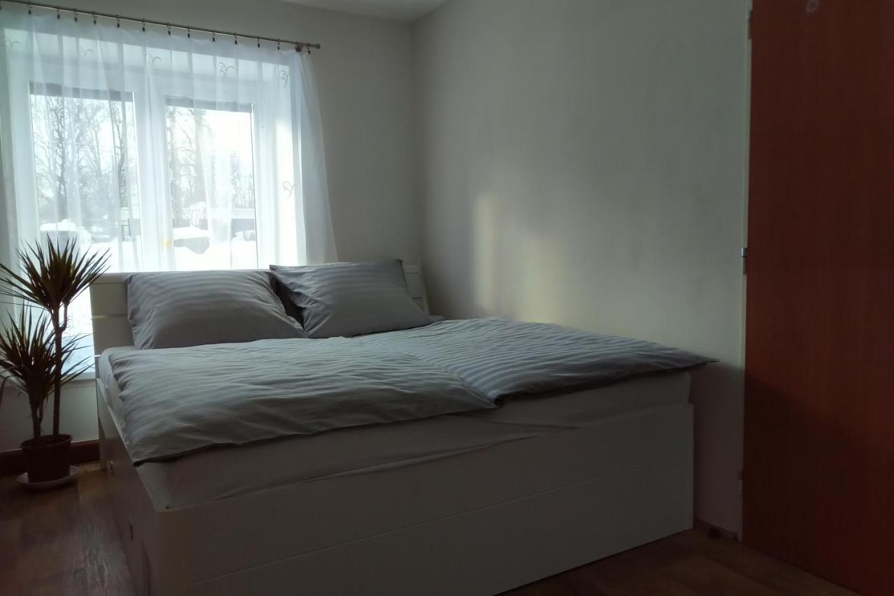 Апартаменти Apartman Pod Rickami Рокітніце-в-Орліцких-горах Екстер'єр фото