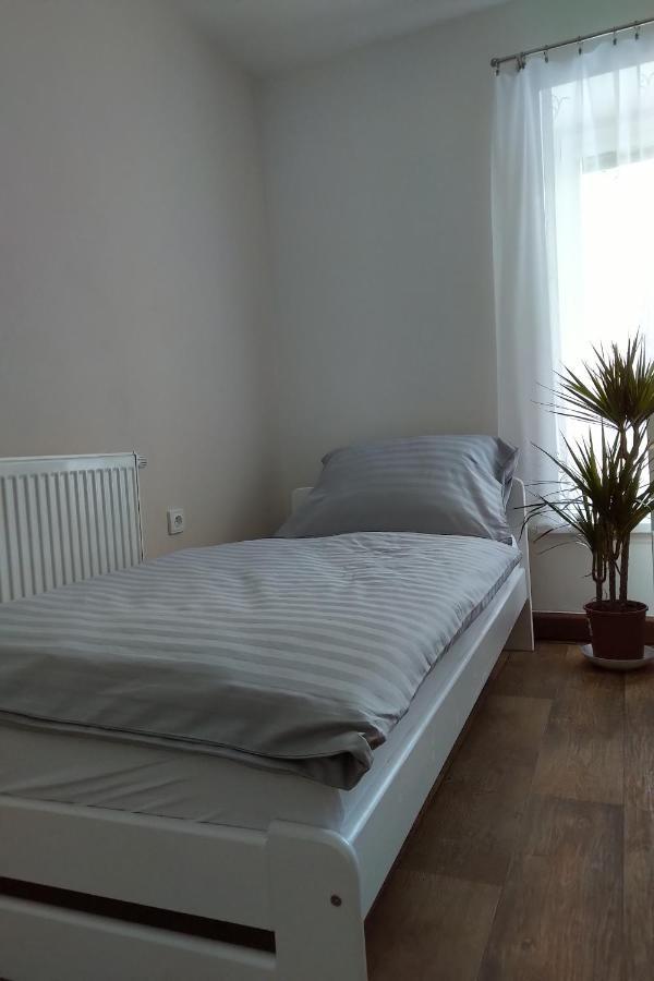 Апартаменти Apartman Pod Rickami Рокітніце-в-Орліцких-горах Екстер'єр фото