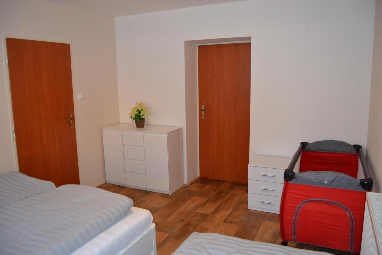 Апартаменти Apartman Pod Rickami Рокітніце-в-Орліцких-горах Екстер'єр фото
