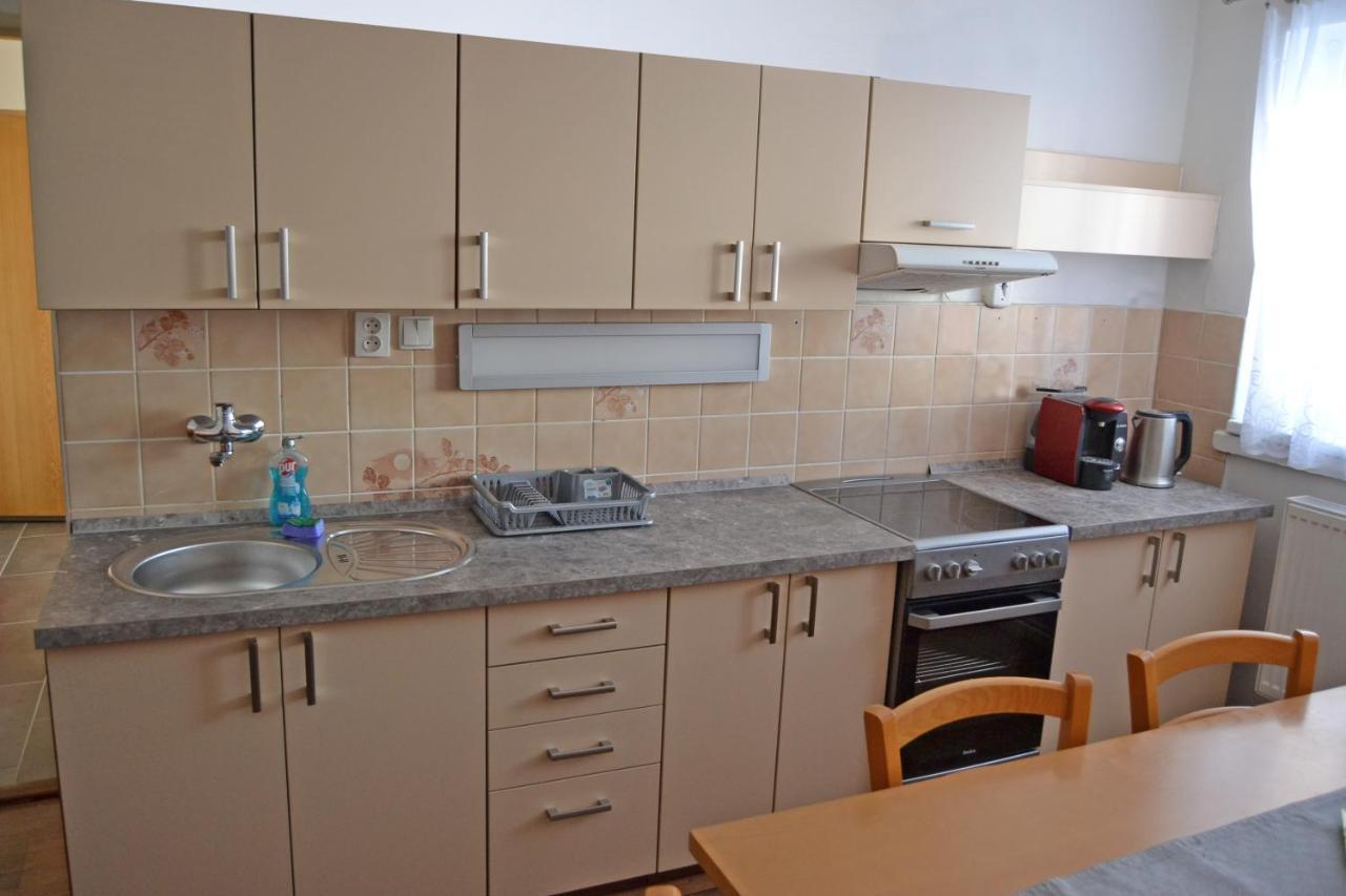 Апартаменти Apartman Pod Rickami Рокітніце-в-Орліцких-горах Екстер'єр фото