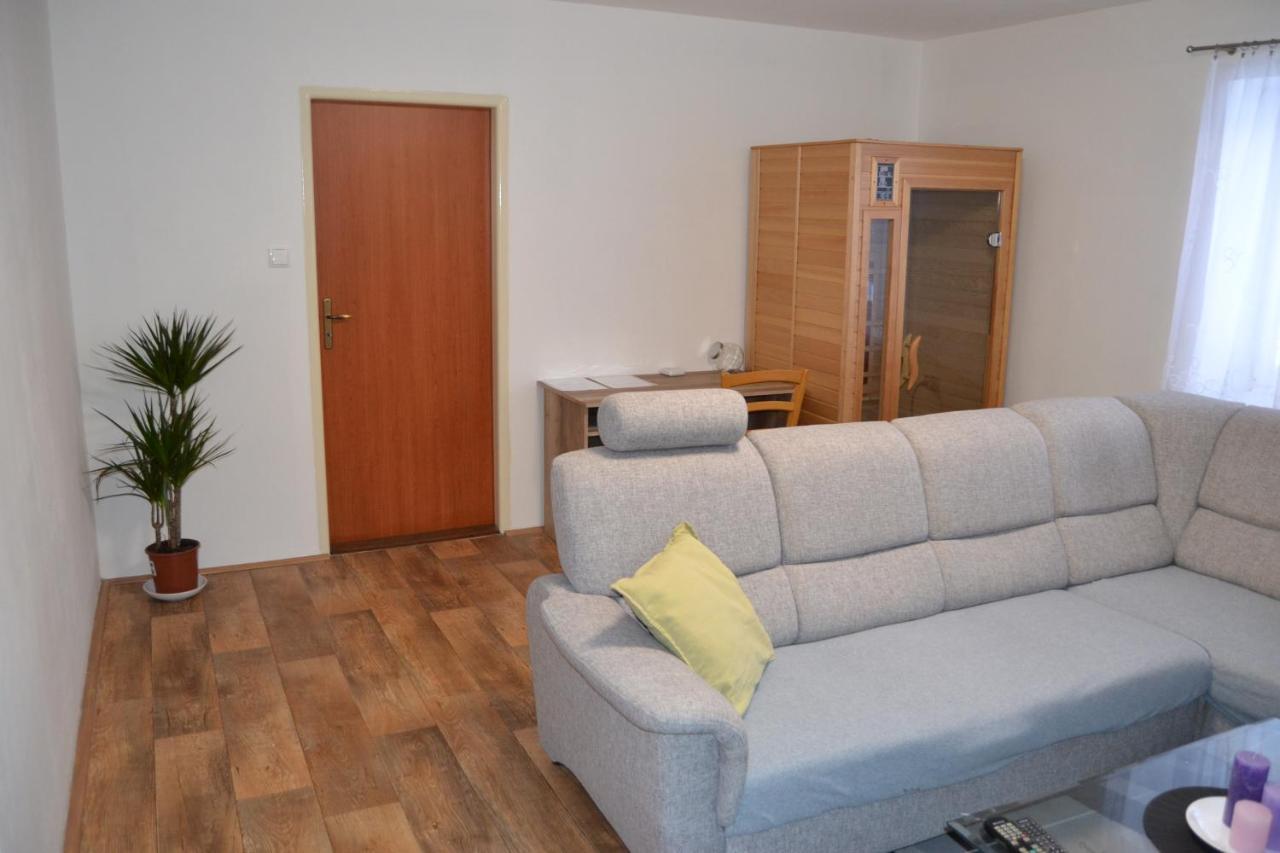 Апартаменти Apartman Pod Rickami Рокітніце-в-Орліцких-горах Екстер'єр фото